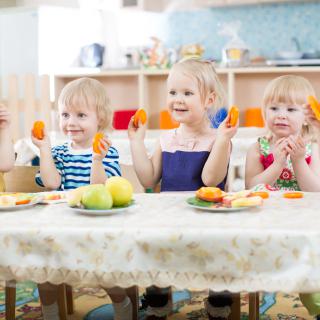 PROGRAM AKTYWNY RODZIC